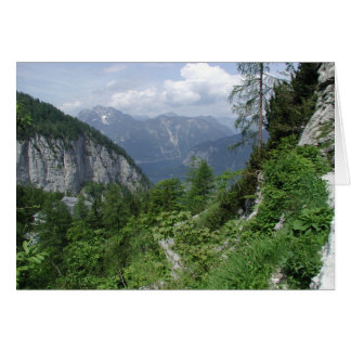 Der Pinsel der Natur