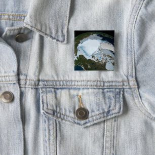 Der Planet Erde zeigt eine Eisdecke im Jahr 1980. Button