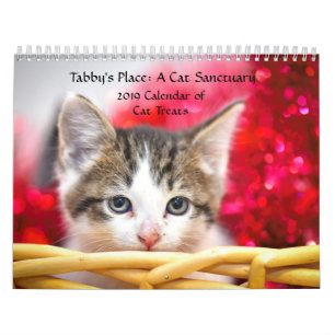 Der Platz-Kalender des Tabbys Kalender