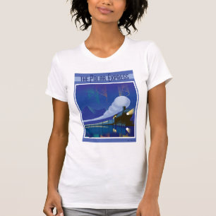 Der Polarexpress Northern Lights Vintage Travel T-Shirt
