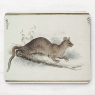 Der Polecat, 19. Jahrhundert Mousepad