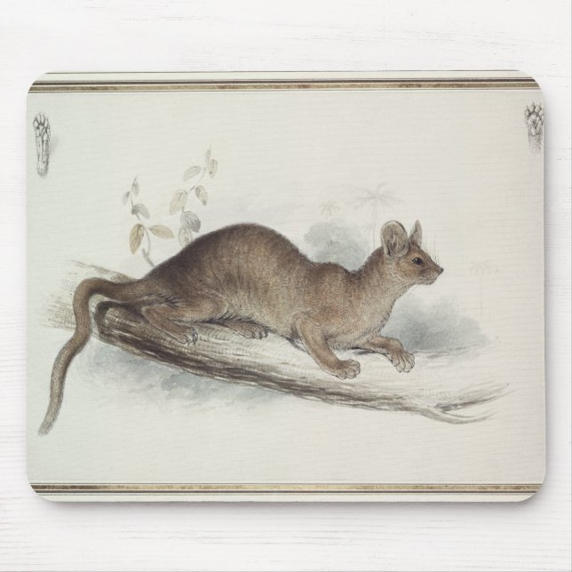 Der Polecat, 19. Jahrhundert Mousepad (Vorne)