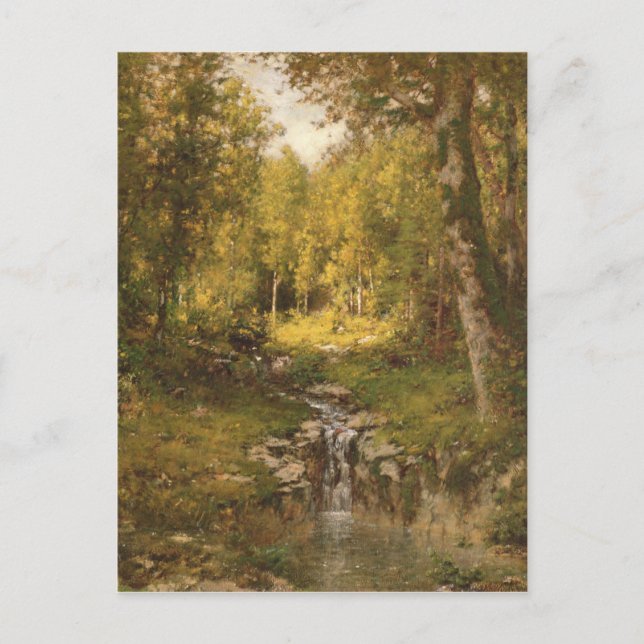 Der Pool im Wald Postkarte (Vorderseite)