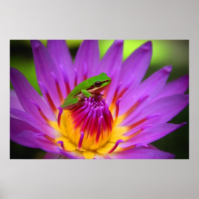 Der Poser Poster (Vorne)