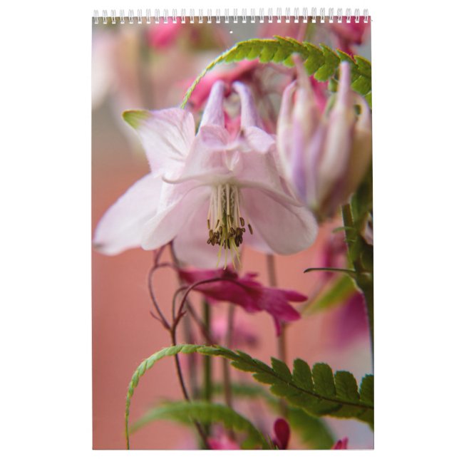 Der Power der Blume Kalender (Titelbild)