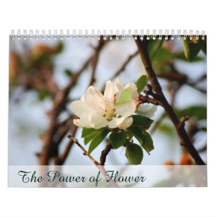 Der Power der Blume Kalender