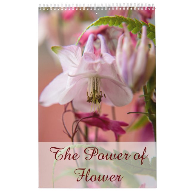Der Power der Blume Kalender (Titelbild)