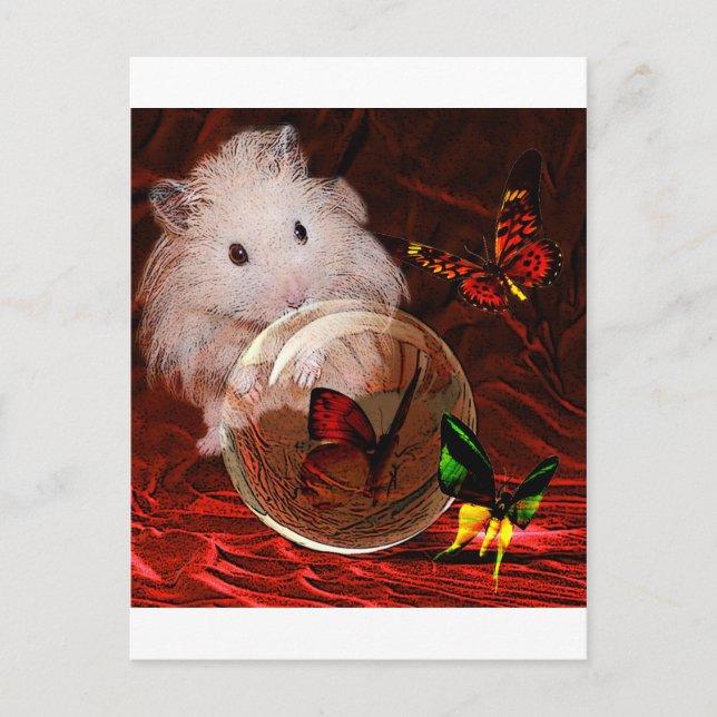 DER PRAKTIKUM POSTKARTE (Vorderseite)