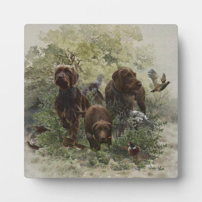 Der Pudelpointer Fotoplatte (Vorderseite)