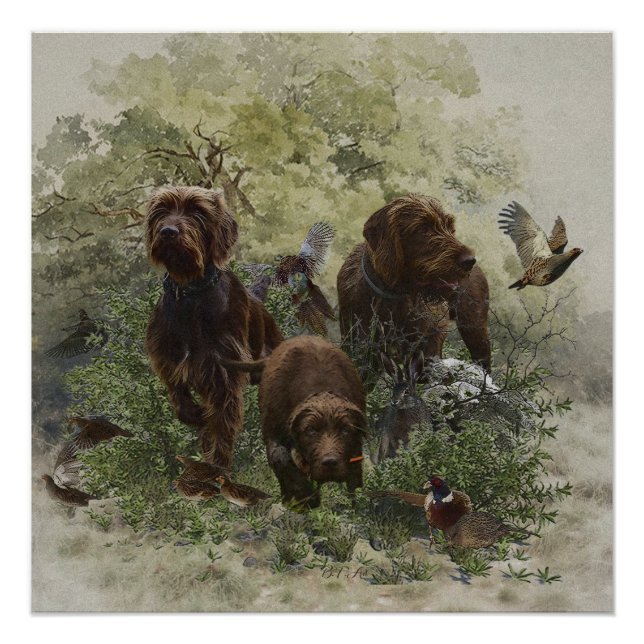 Der Pudelpointer Poster (Vorderseite)