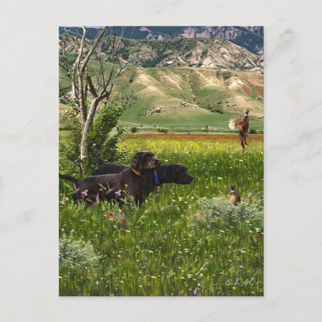 Der Pudelpointer Postkarte (Vorderseite)