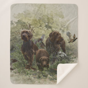 Der Pudelpointer Sherpadecke