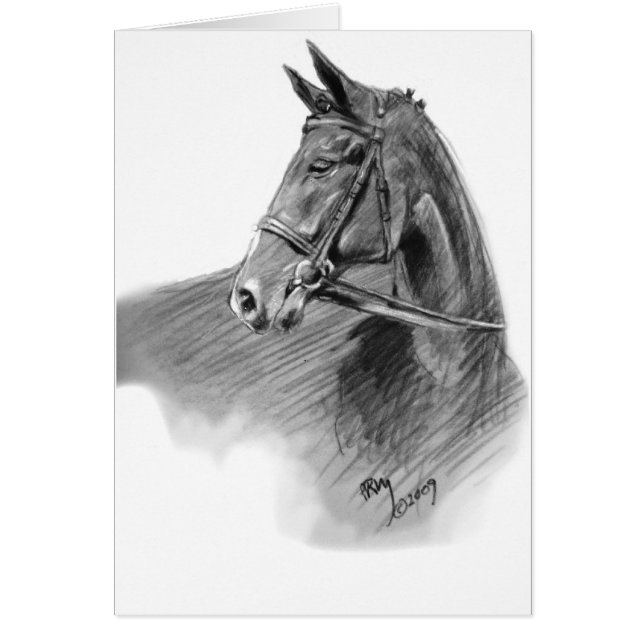 "Der Pullover " (Vorne)