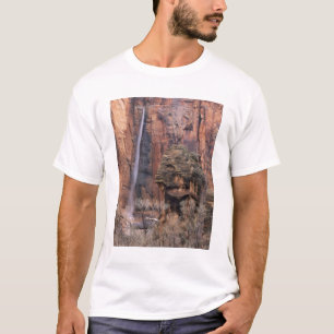 Der Pulpit und der flüchtige Wasserfall T-Shirt