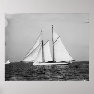 Der Puritaner Poster