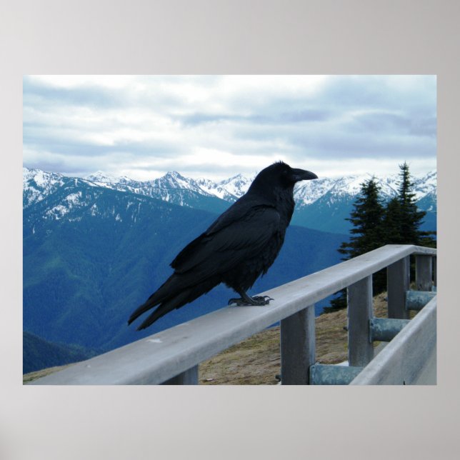 Der Rabe Poster (Vorne)