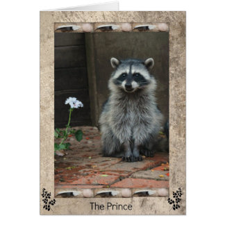 Der Raccoon-Prinz