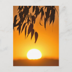 Der Rahmen der Natur Postkarte