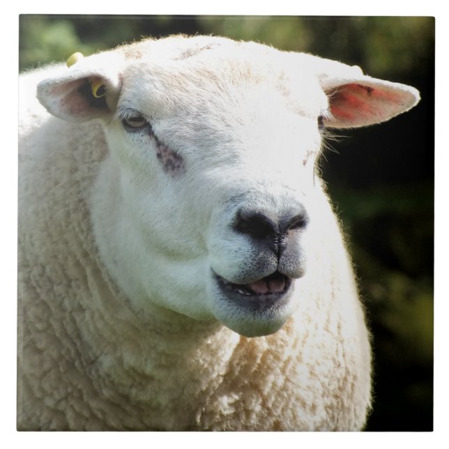 Der RAM Fliese (Vorderseite)