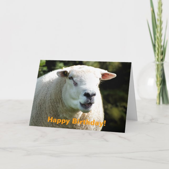 Der RAM Karte (Vorderseite)