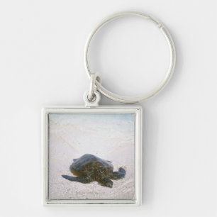 Der Rand des Wassers Schlüsselanhänger