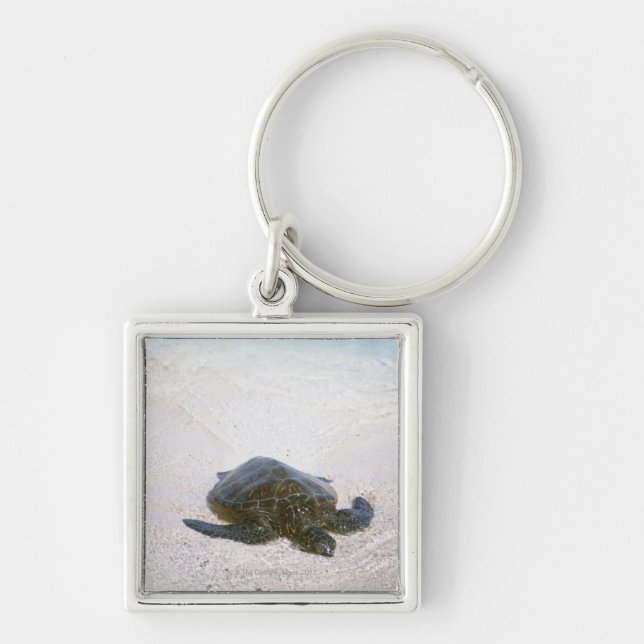 Der Rand des Wassers Schlüsselanhänger (Vorne)