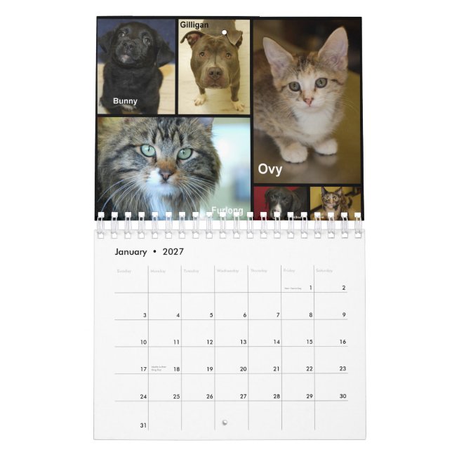 Der Rand-menschliche Gesellschaft 2012 des Kalender (Jan 2027)
