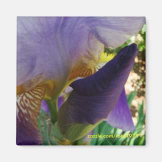 Der Raum zwischen Magnet