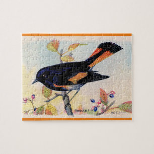Der Redstart-Vogel Puzzle