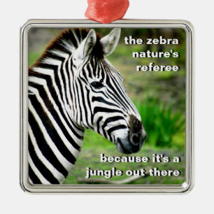 Der Referent der Natur Silbernes Ornament