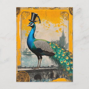 Der Regal-Pfau in einem Top Hat Postkarte