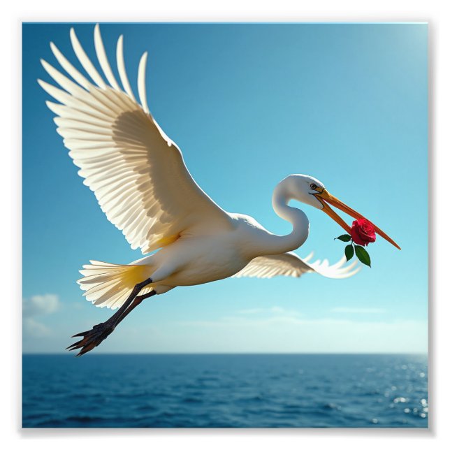 Der reisende Vogel Fotodruck (Vorne)