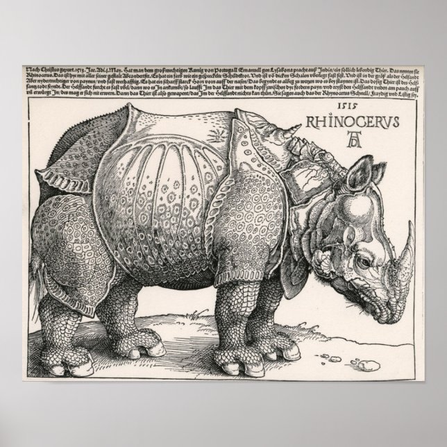 Der Rhino Poster (Vorne)