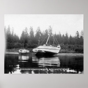 Der Rhododendron auf Quillayute Fluss Poster