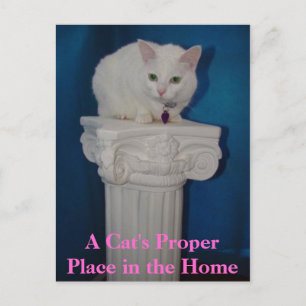 Der richtige Platz der Katze auf der Zuhause Postkarte