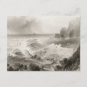 Der Riesenkauz von oben Postkarte