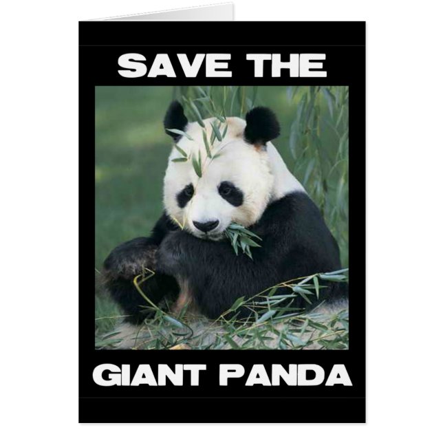 Der Riesenpanda gerettet (Vorne)