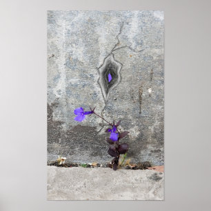 Der Riss in der Wand Poster