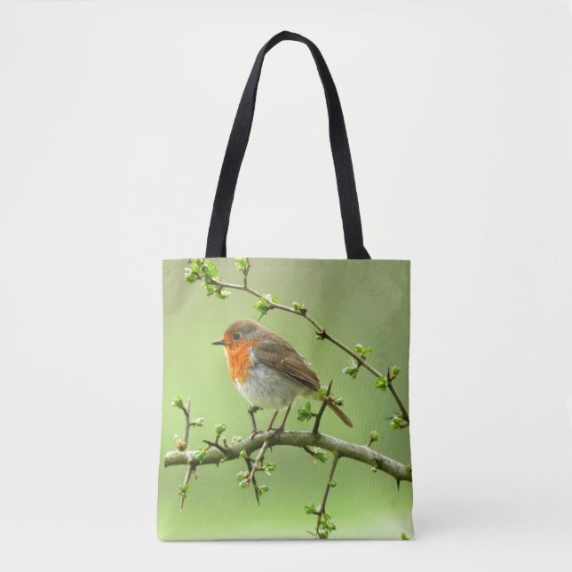 Der Robin (Vorderseite)