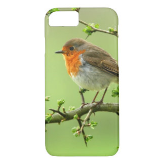 Der Robin Case-Mate iPhone Hülle