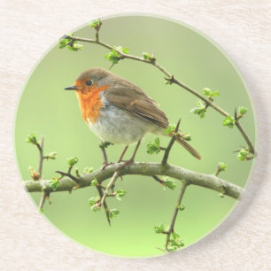 Der Robin Getränkeuntersetzer