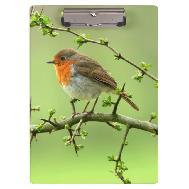 Der Robin Klemmbrett (Vorderseite)