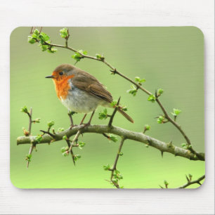 Der Robin Mousepad