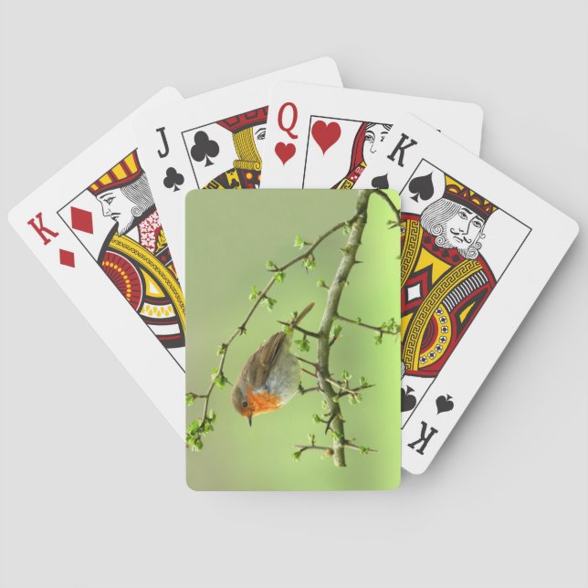 Der Robin Spielkarten (Rückseite)