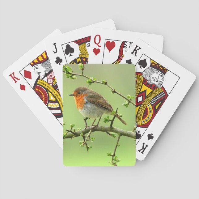 Der Robin Spielkarten (Rückseite)