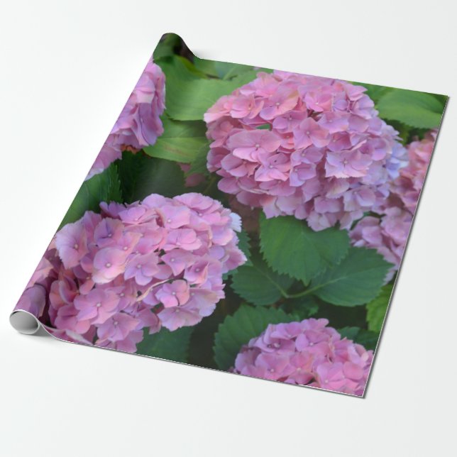Der Rosa Hortensia-Hydrangebusch Geschenkpapier (Ungerollt)