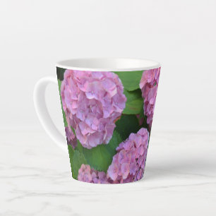 Der Rosa Hortensia-Hydrangebusch Milchtasse