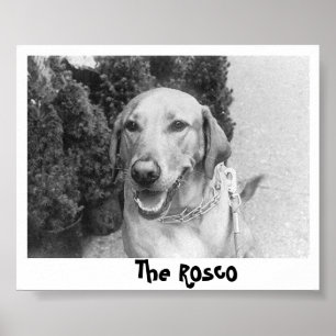 Der Rosco Poster