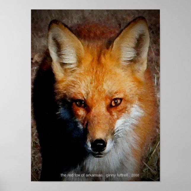 Der rote Fuchs von Arkansas Poster (Vorne)