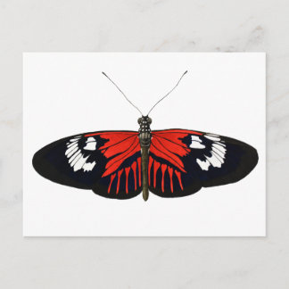 Der rote Postman Butterfly Postkarte